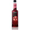 DVG EUROPEAN STRAWBERRY ŞURUP 750 ML
